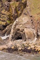 Anticline